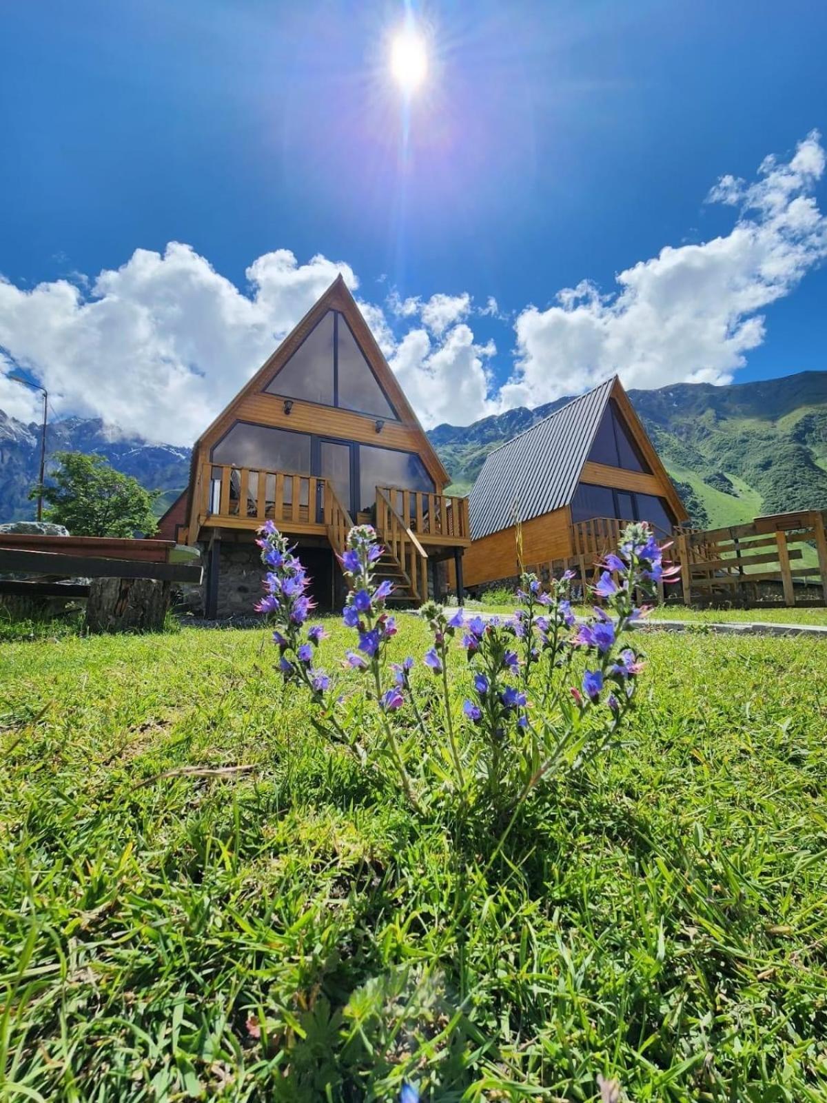Cottage Carpe Diem Kazbegi Extérieur photo